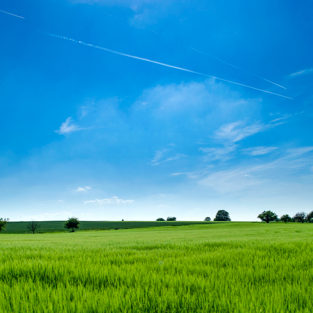 Brothers win land inheritance battle