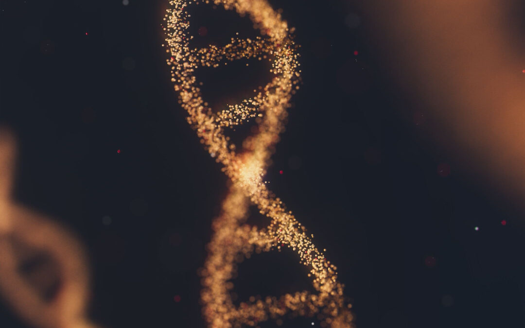Are Ancestry DNA Kits Reliable? 