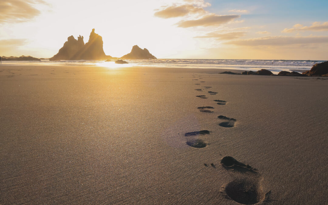 Travelling through Genealogy: Following in Your Ancestors’ Footsteps