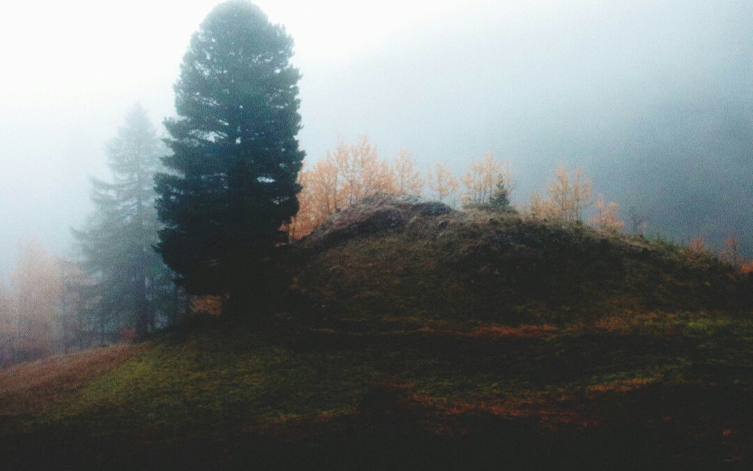 Beyond Family Trees – Revealing Your Ancestors’ Stories